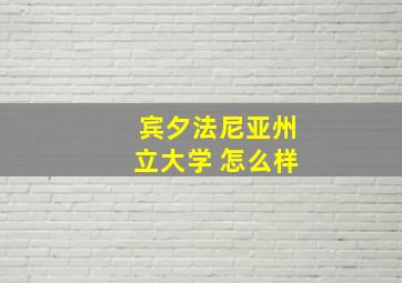 宾夕法尼亚州立大学 怎么样